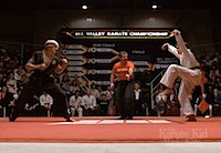 'Karate Kid' Ralf Macchio in a 'crane stance' in a tournament fight.